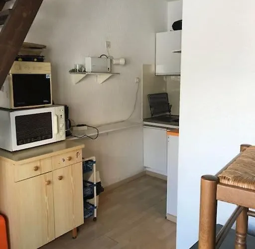 Studio Duplex Pra Loup 1500